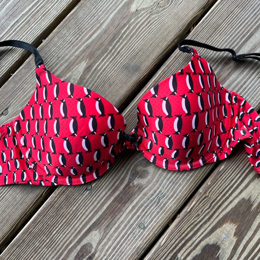 Victoria’s Secret Penguin Bra